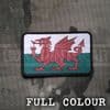 Gun Point Gear Welsh Dragon Flag PVC Patch 10141